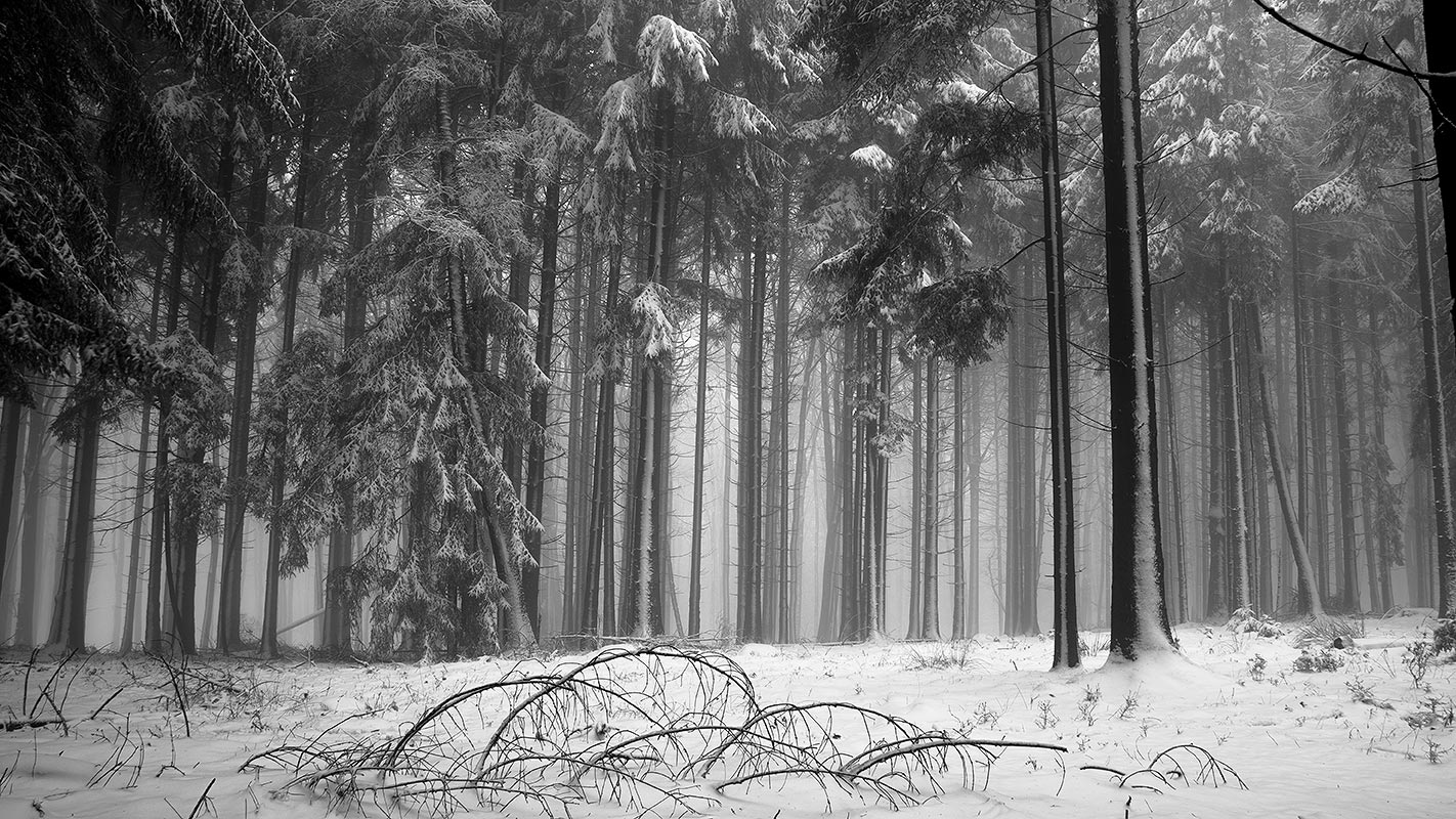 Winter Odenwald