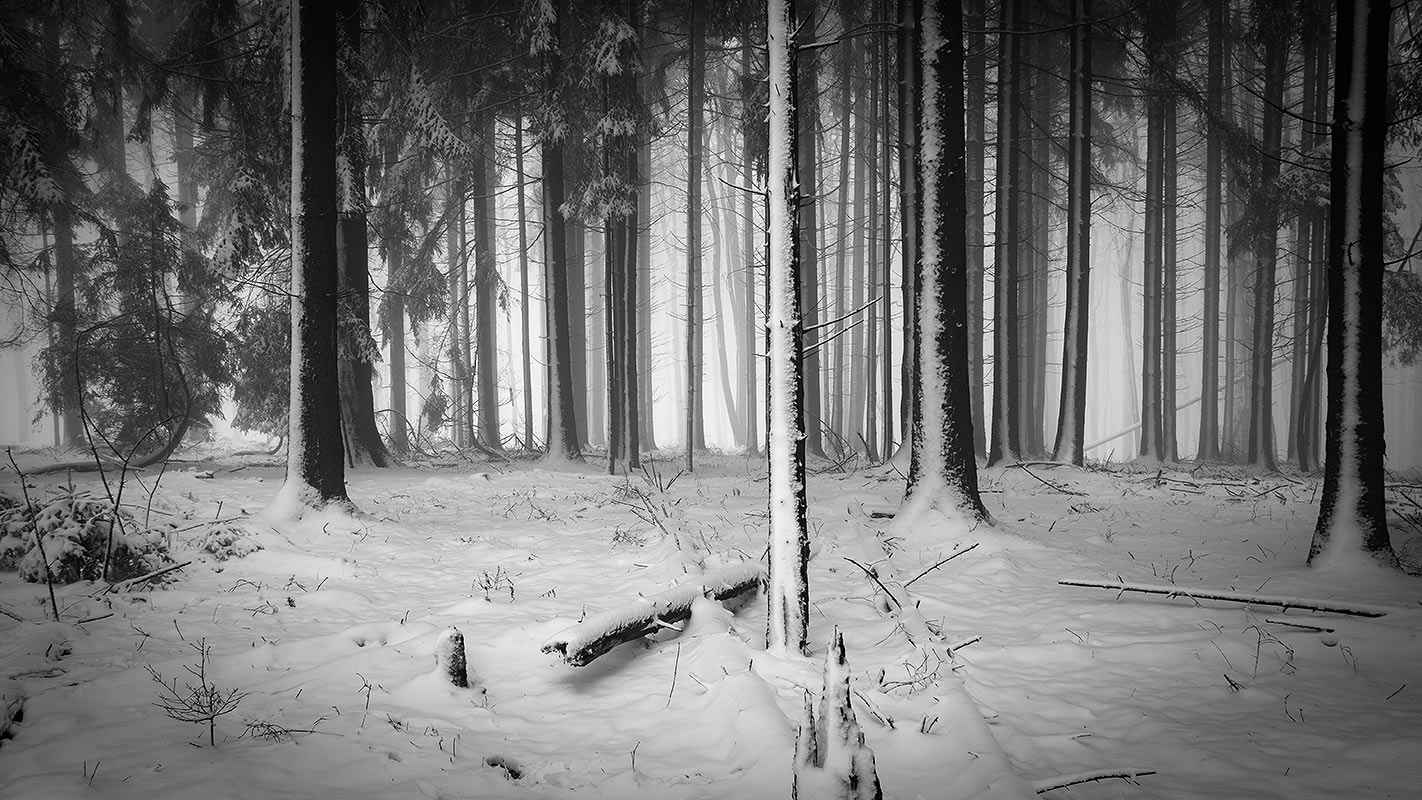 Winter Odenwald
