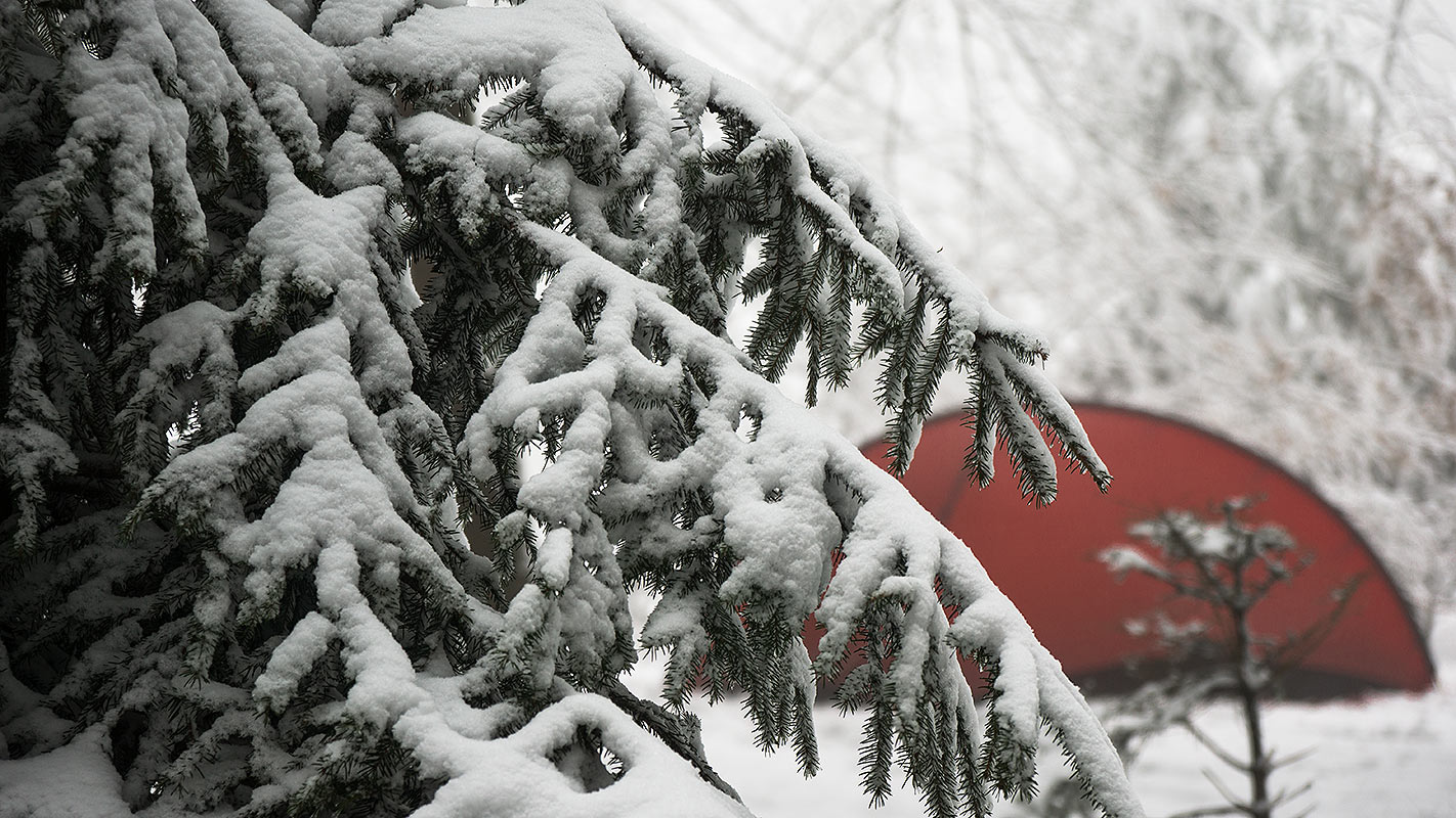 Hilleberg Niak Winter, Zelt im Wald